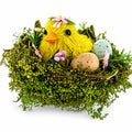 Nestled Chick Amidst Colorful Treasures Tabletop Figurine 3.3 Inches Tall