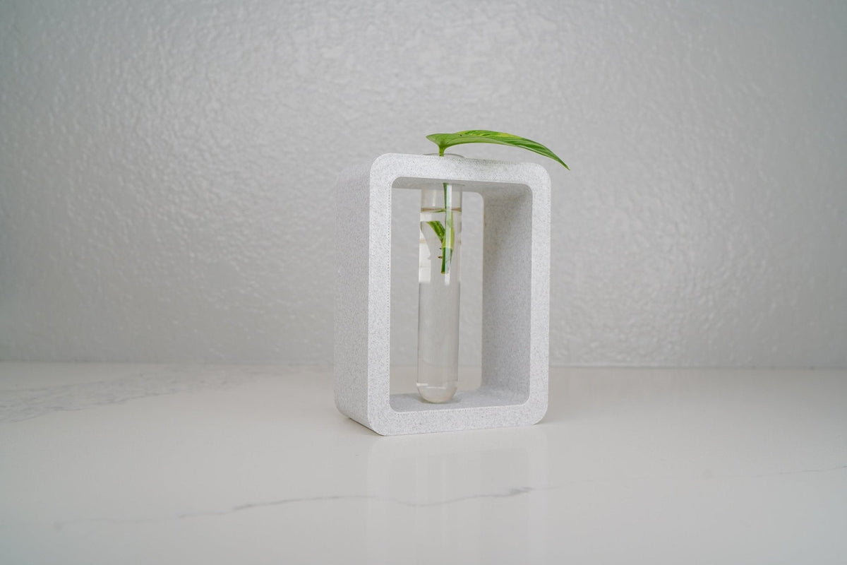 Rectangle Propagation Station